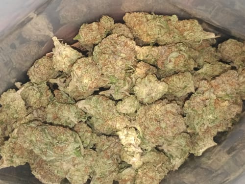 Chocolate Diesel - Bulk - Sativa photo review