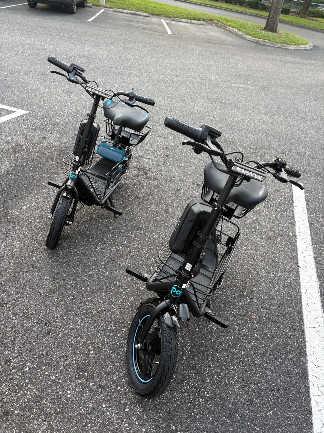Customer photo review of Gyroor C1Plus 1000W Electric Scooter with Dual Baskets for Pets & Cargo