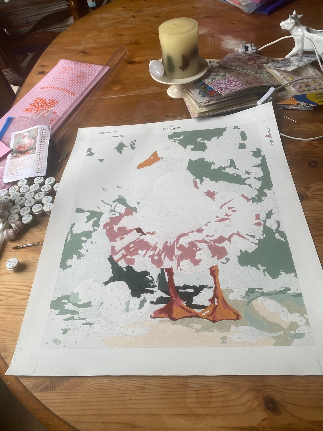Customer photo review of The Goose Ballerina | Paint by Number
