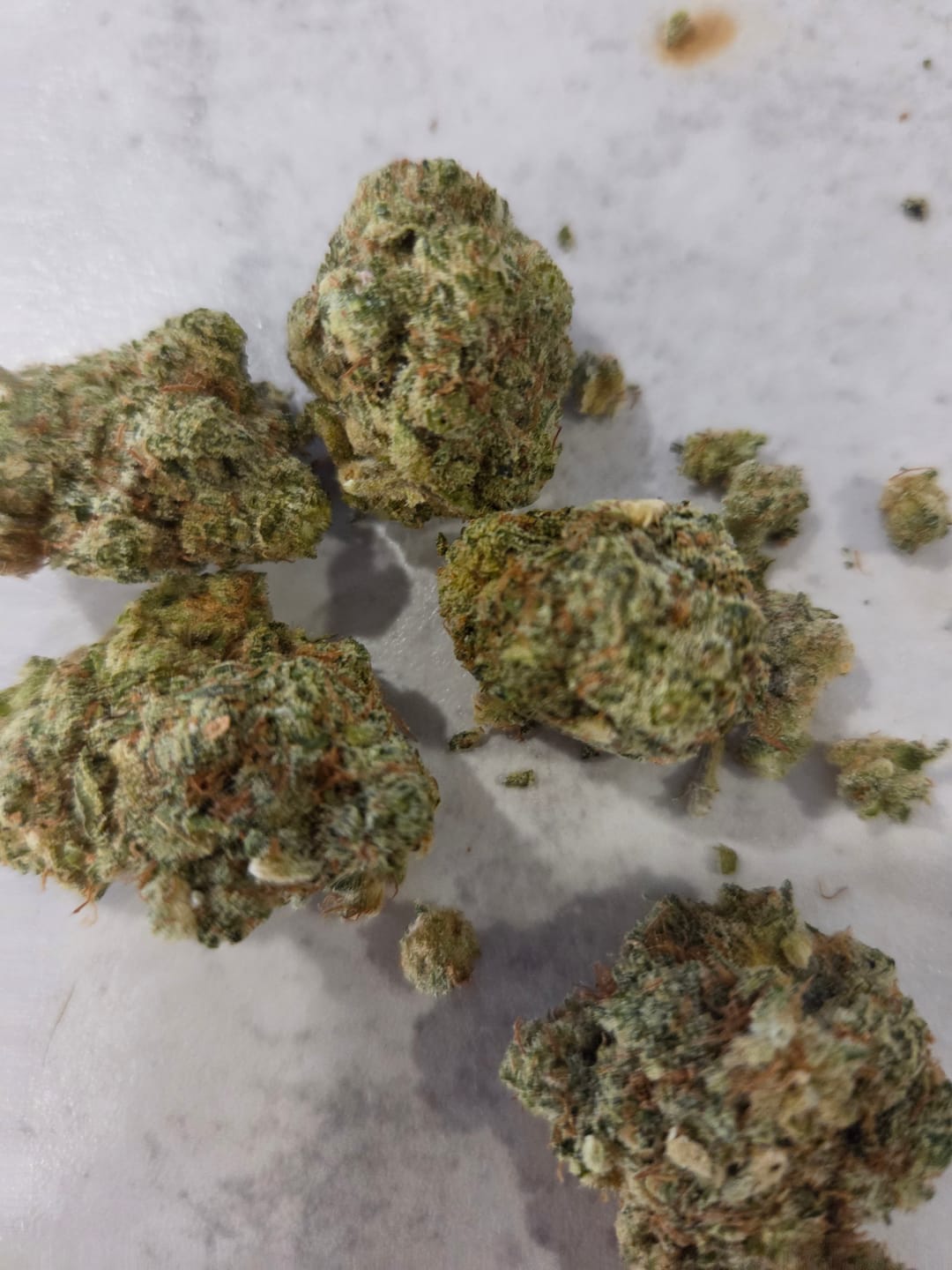 Customer photo review of Durban Poison THCA Flower (Budget)