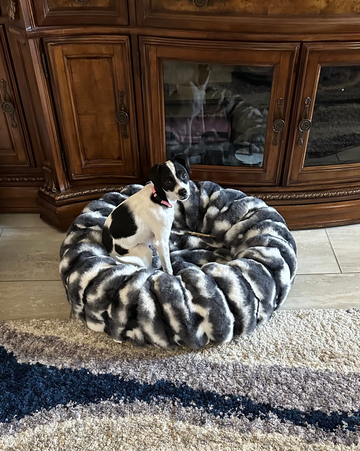 Customer photo review of Cloudy Day Black Pet Bed