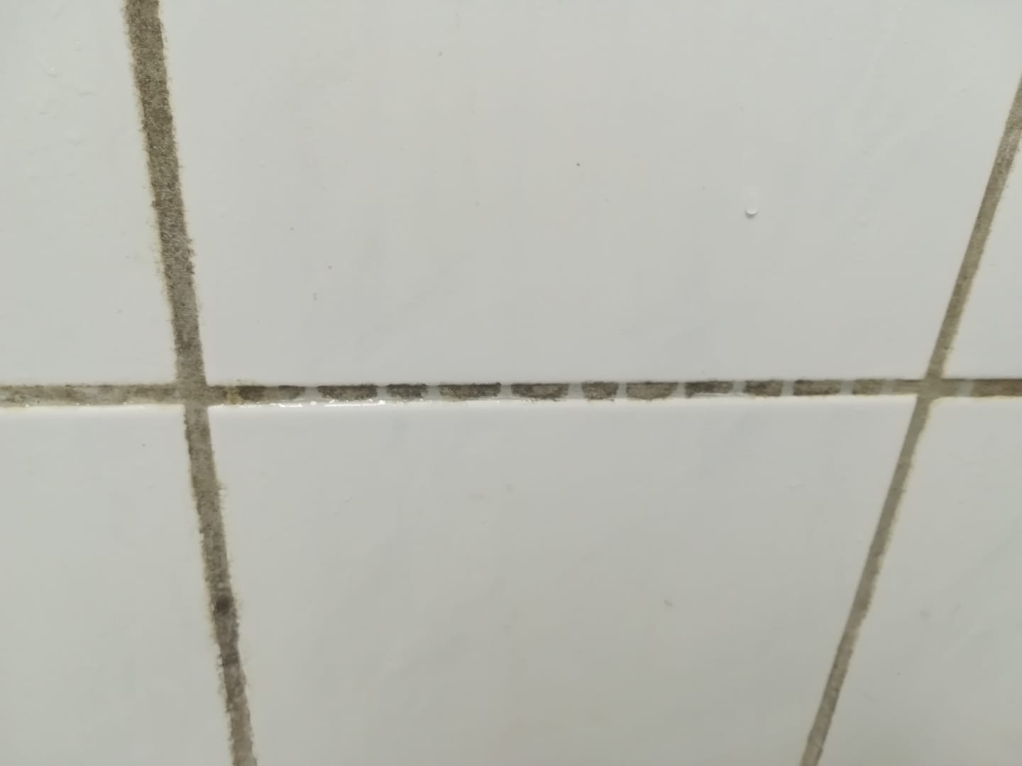 Customer photo review of LS Fungex