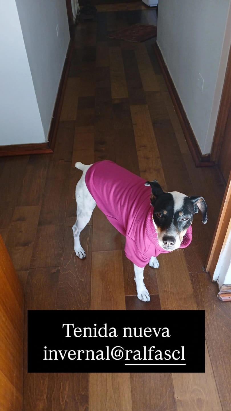 Customer photo review of Poleron Altitud Magenta