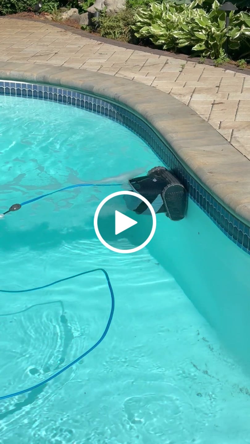 Customer video review of Dolphin S2000 Corded Robotic Pool Vacuum Maytronics