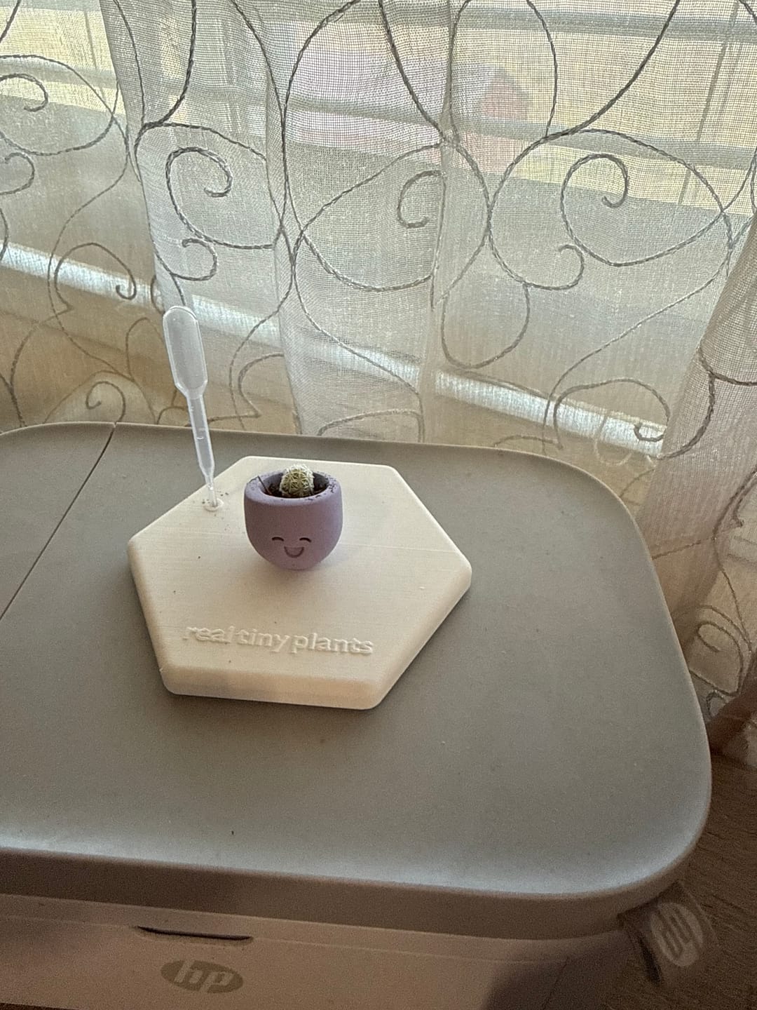 Customer photo review of Little Lavender