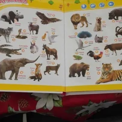 Customer photo review of Libro Educativo con Sonido CREARIO™