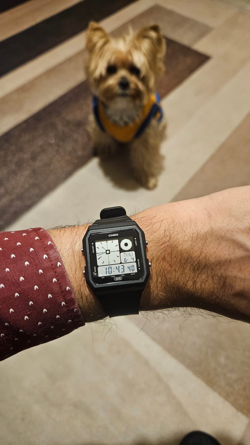 Customer photo review of Reloj Casio Vintage LF-20W-1ADF Twin-Graph Reissue Resina