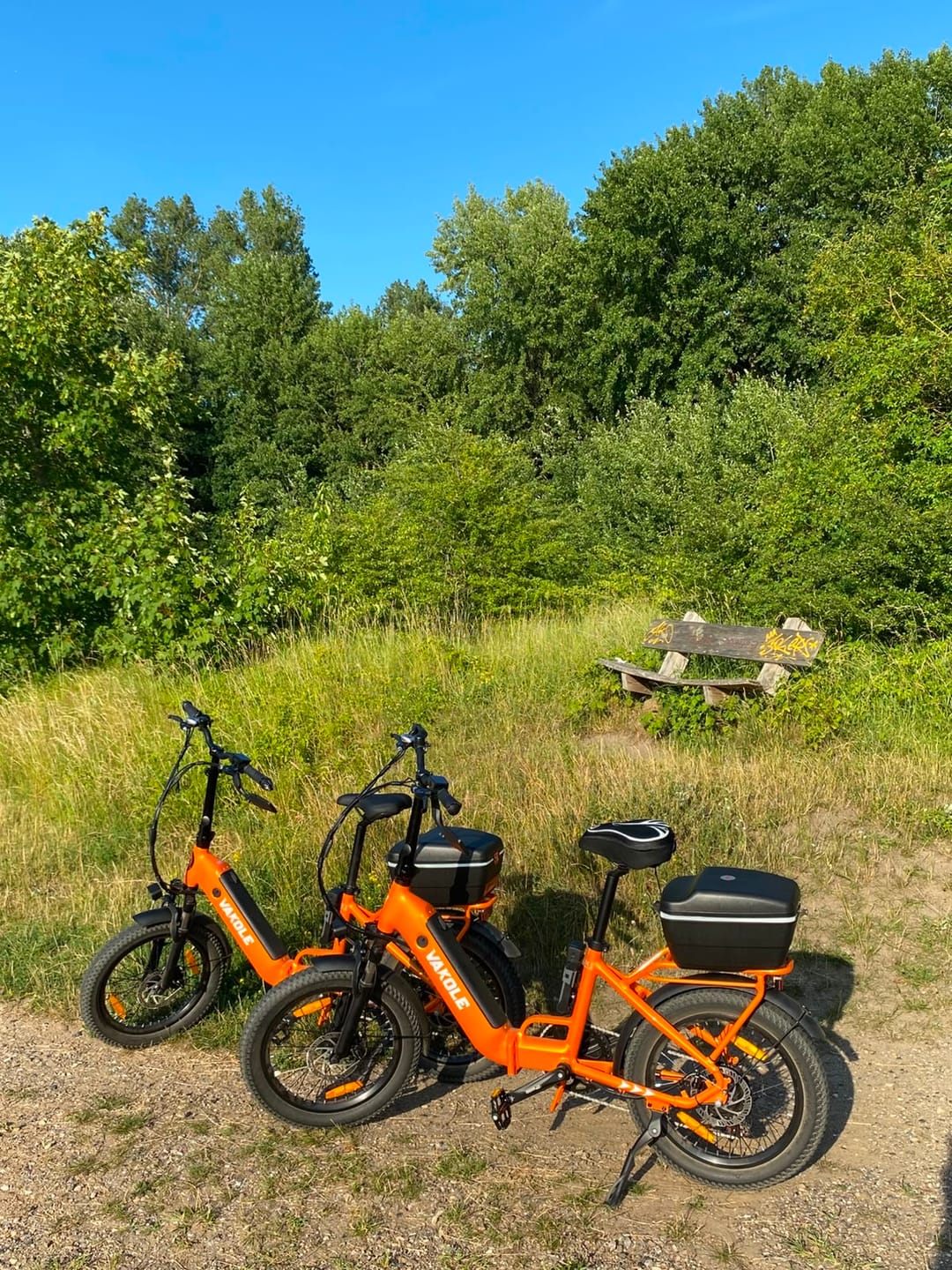 Customer photo review of Vakole VT4 250W 20" Foldable Electric Bike 468Wh Compact Step-through E-bike 36V 13Ah Battery