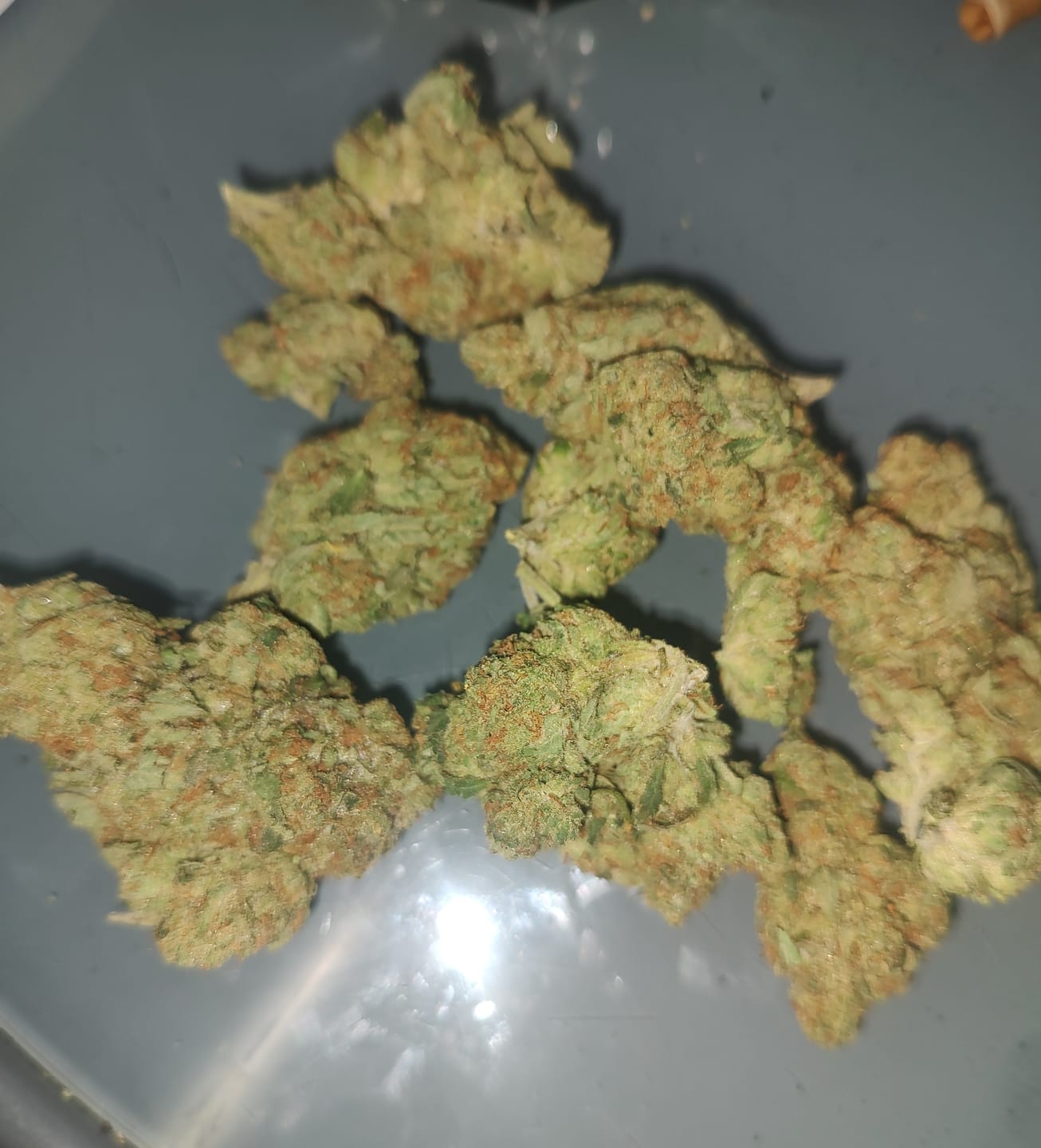 Customer photo review of Gas Face - Bulk - (Indica)