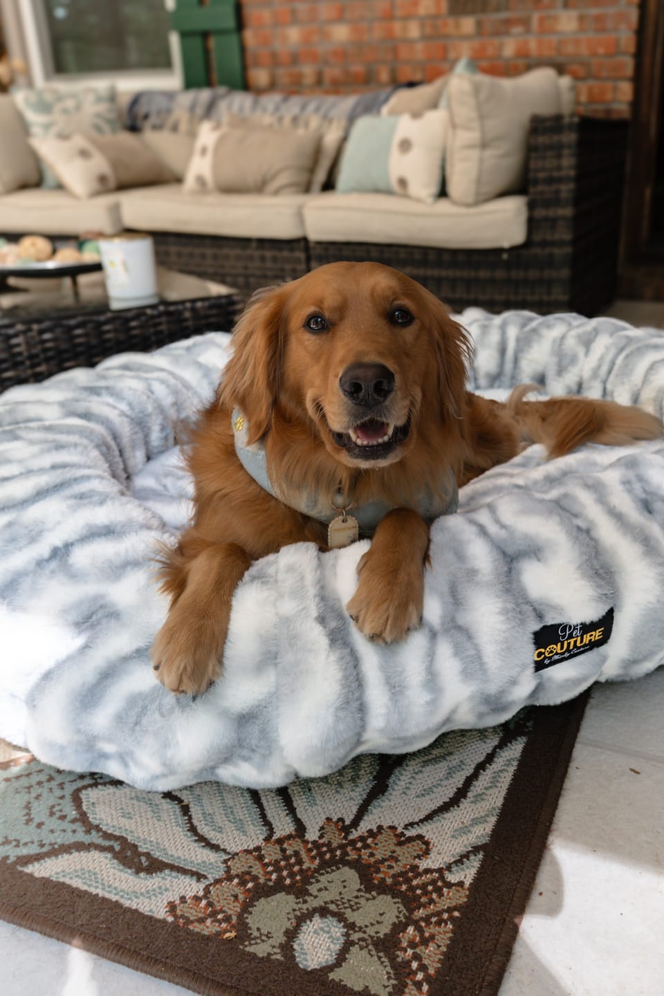 Customer photo review of Cloudy Day Blue Pet Bed