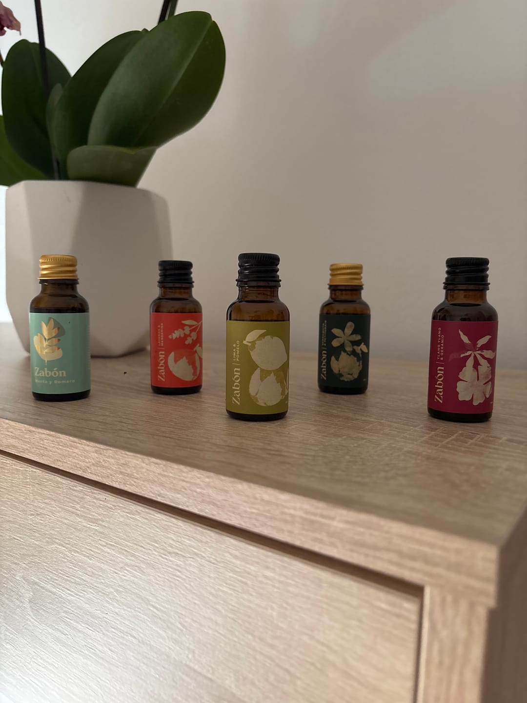 Customer photo review of Kit de Inicio Multiuso