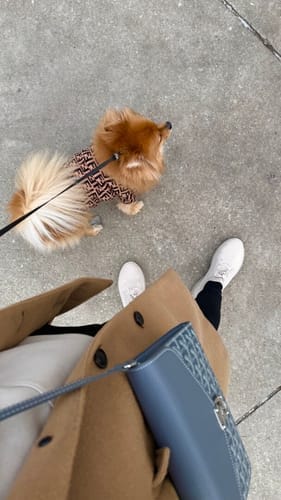 Customer photo review of Chypre Wallet