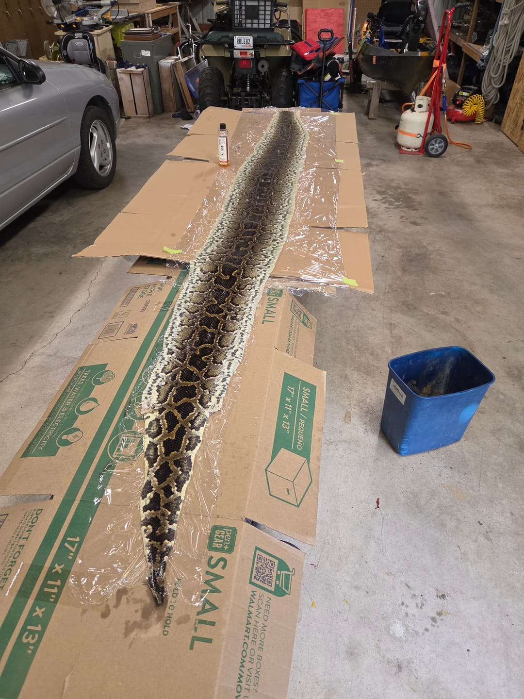 Customer photo review of Tan-a-Snake