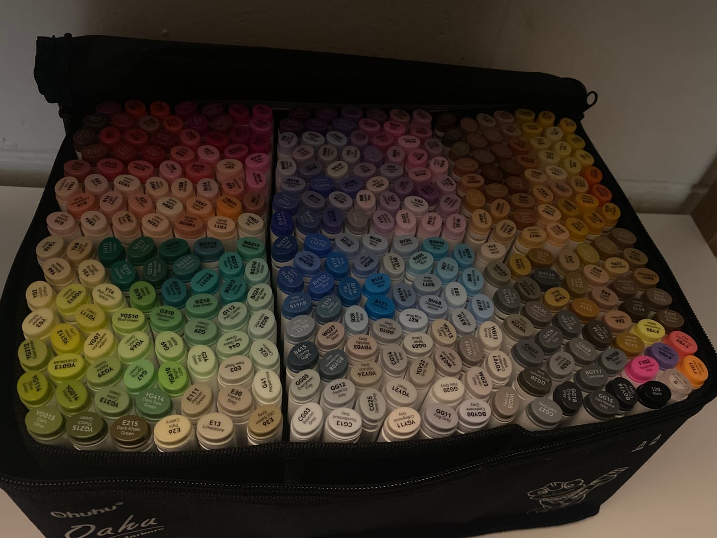 Customer photo review of Ohuhu Oahu 320 Colors Dual Tips Alcohol Art Markers, Fine & Chisel (New Color Codes)