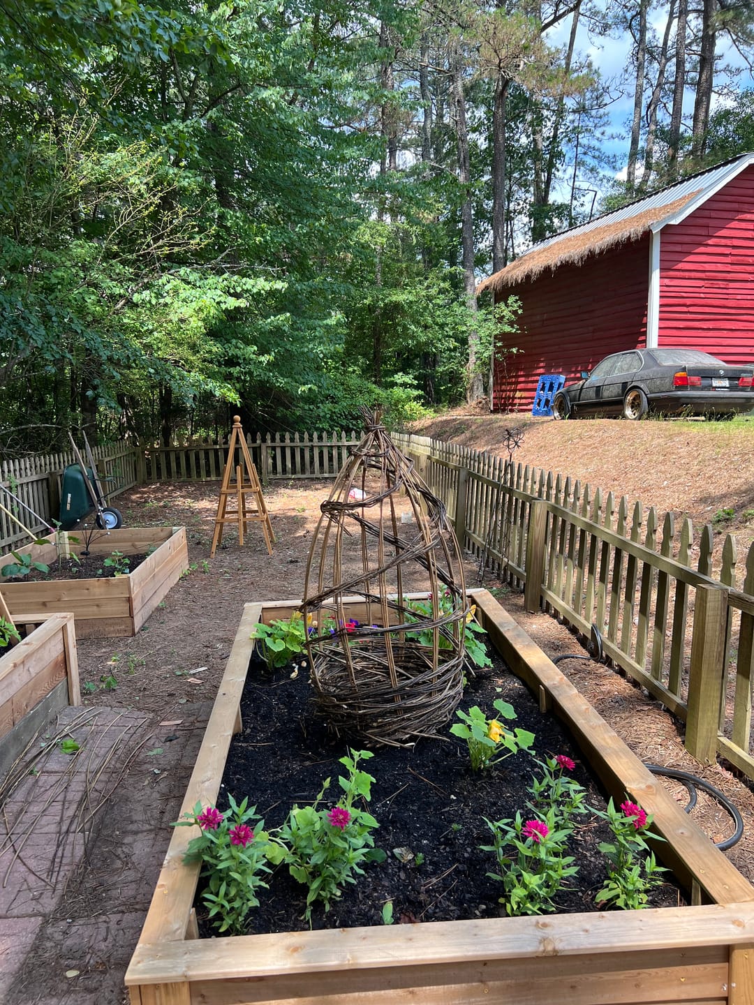 Customer photo review of The Willow Plant Support (3.8 Feet Tall)