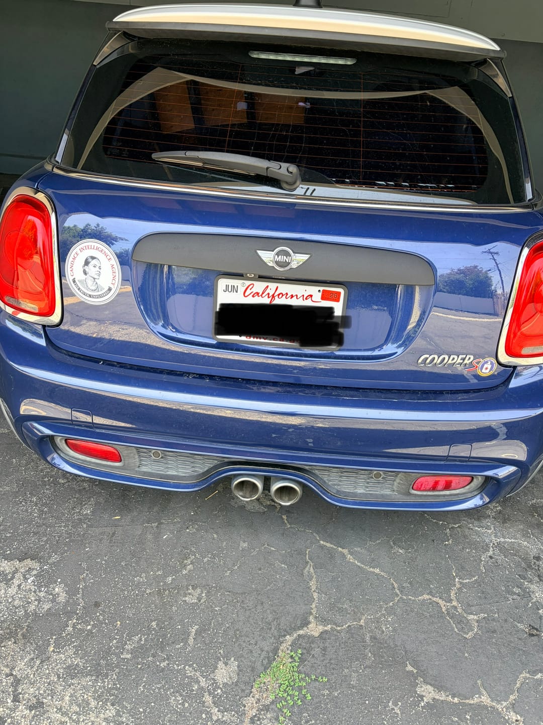 Customer photo review of Candace Intelligence Agency Sticker