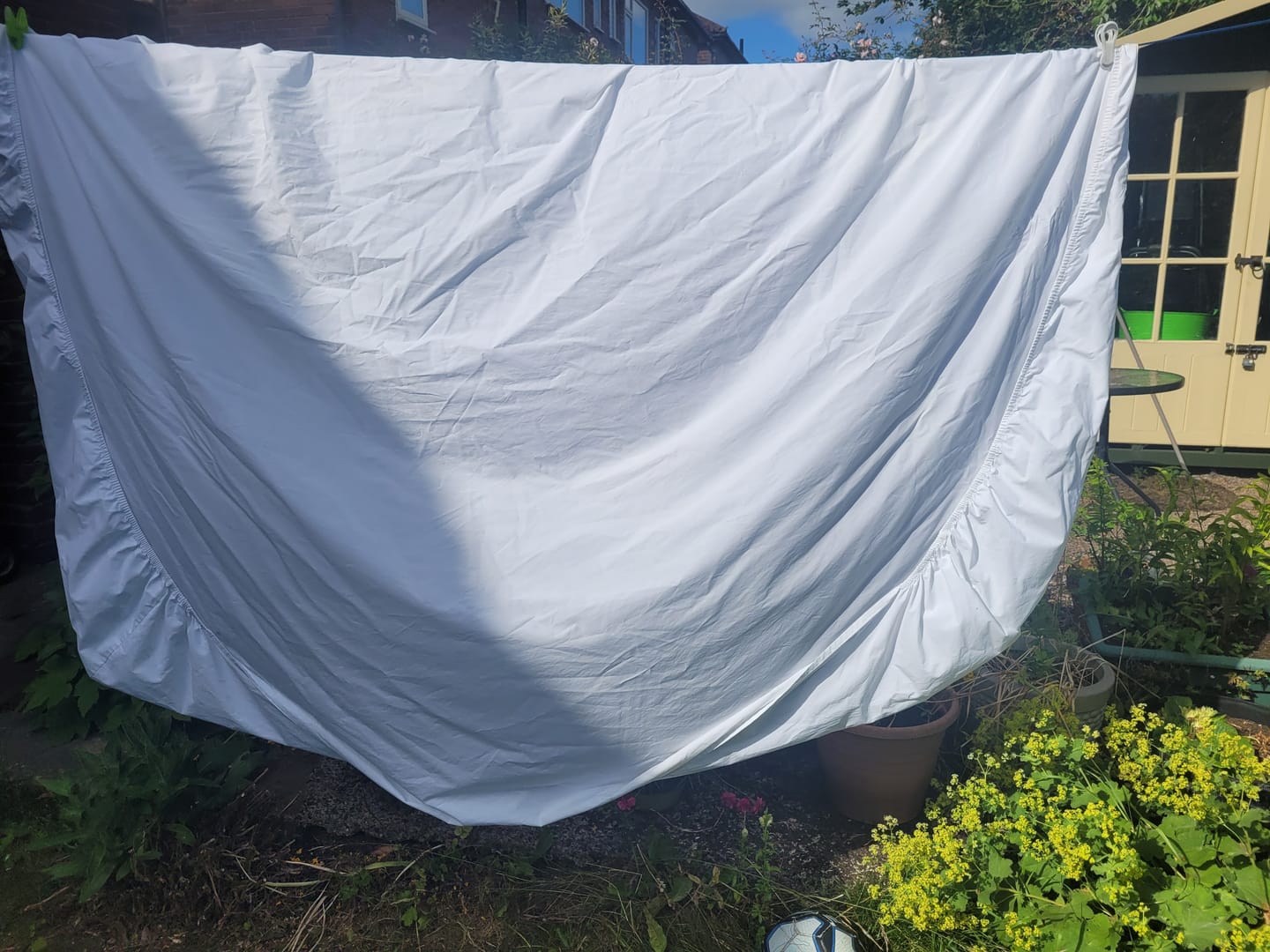 Customer photo review of Surcare Laundry Powder 1.2Kg