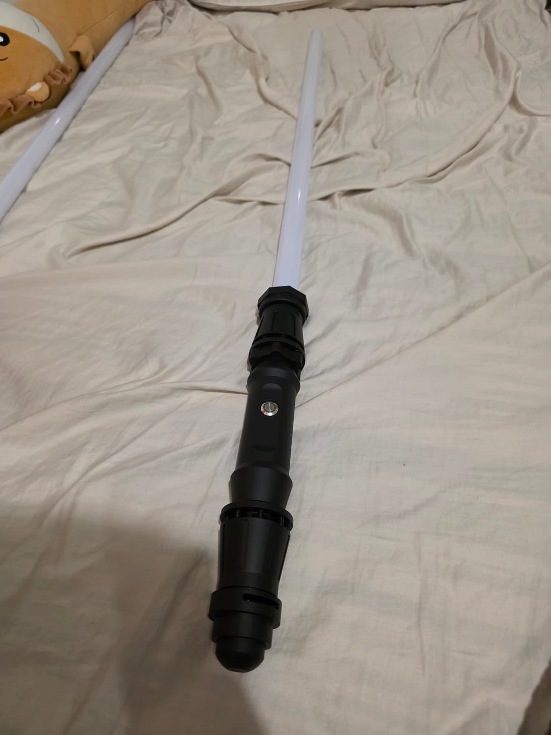 Customer photo review of The Scavenger II