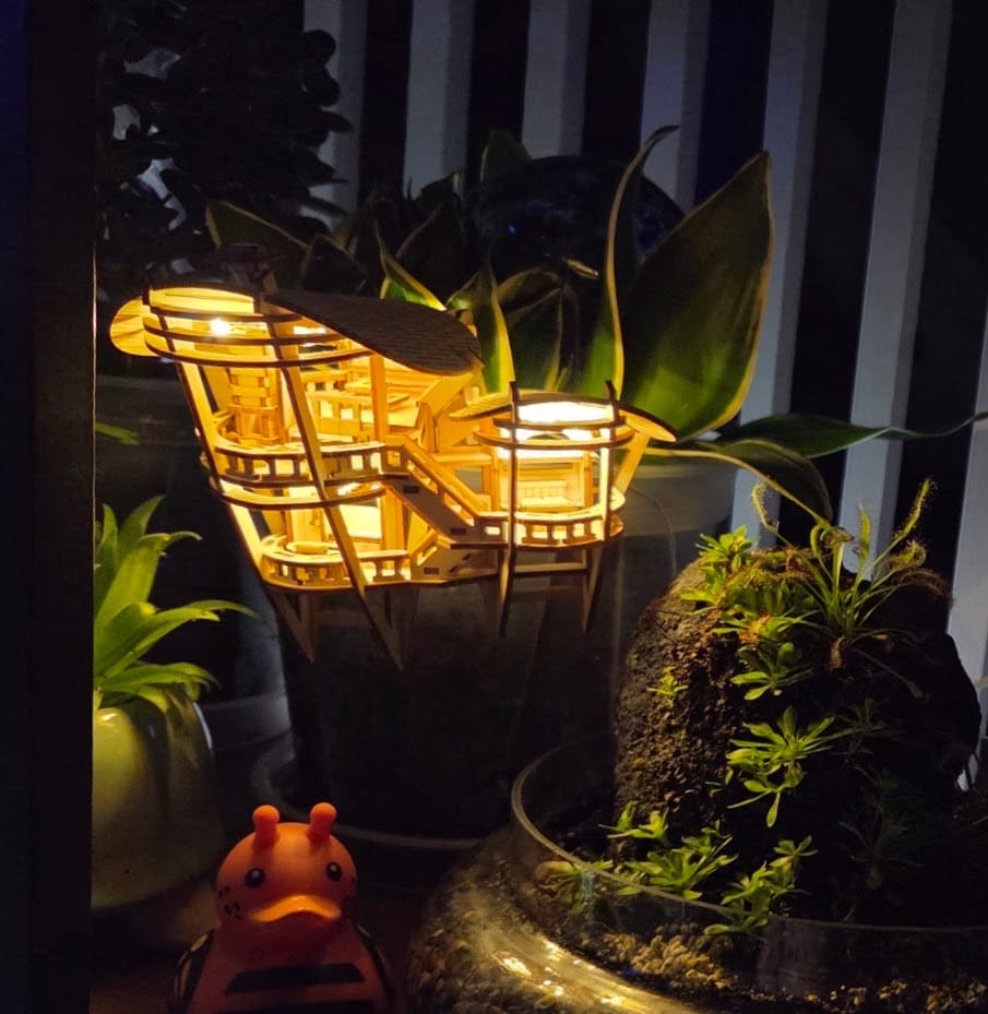 Customer photo review of Horizons Edge