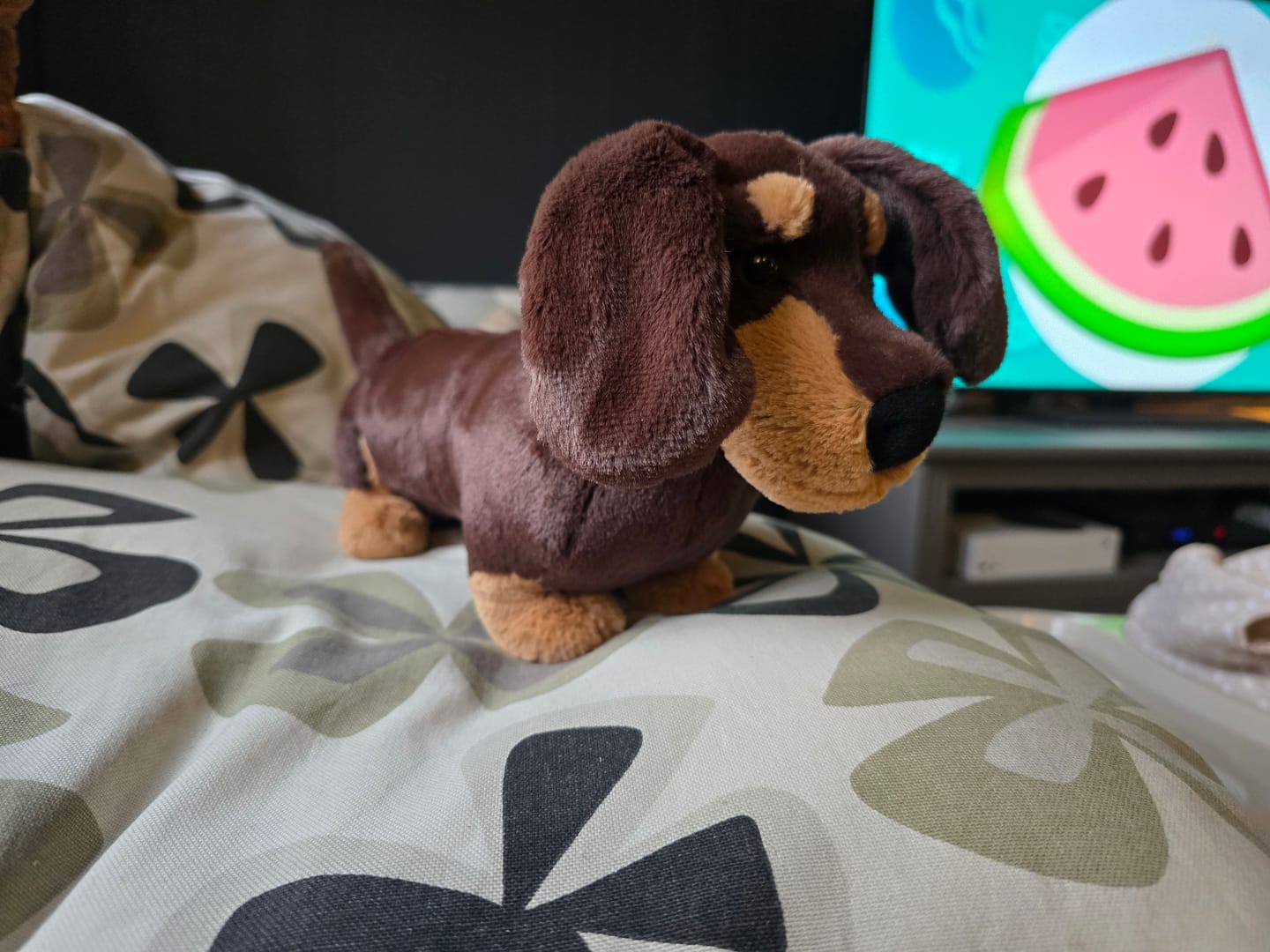 Customer photo review of Otto Sausage Dog | Jellycat
