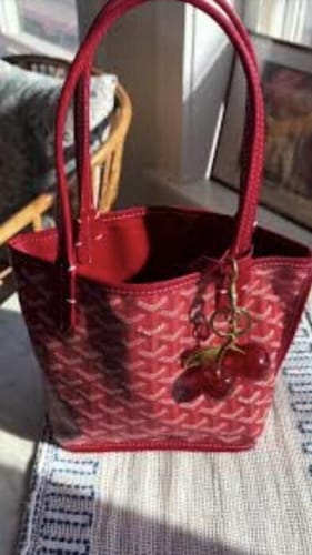 Customer photo review of Veyra Reversible Mini Tote