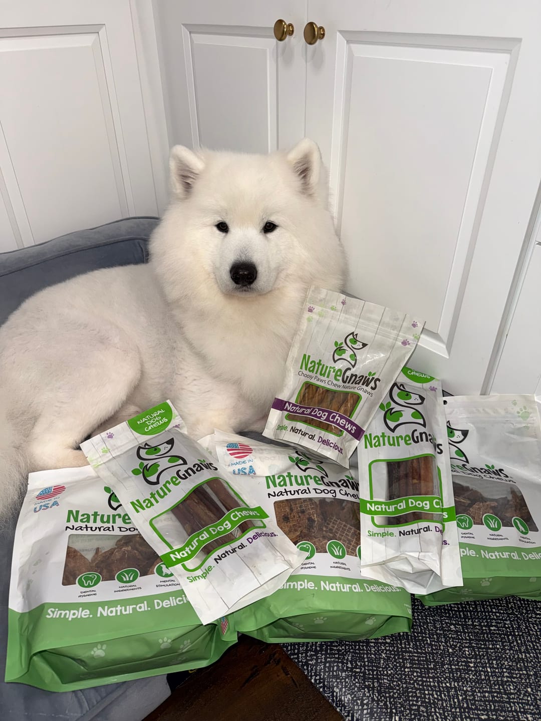 Customer photo review of USA Lung Filets Natural Soft Training Chews