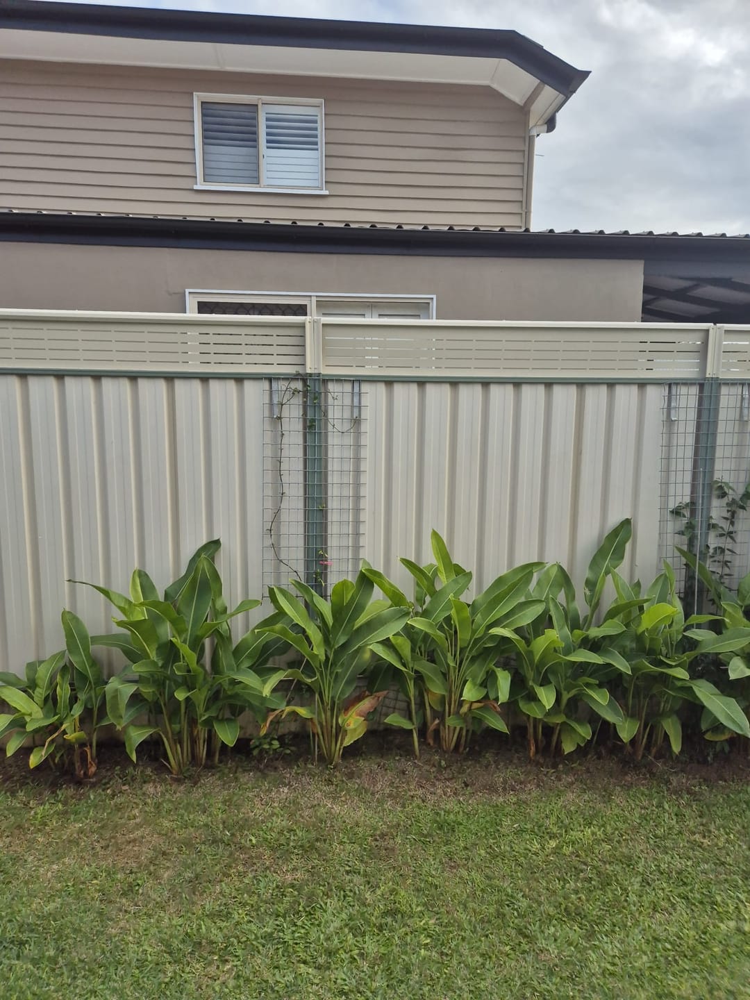 Customer photo review of Fence Extensions for Colorbond Fences