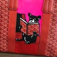 Customer photo review of Parisian Charm Carryall