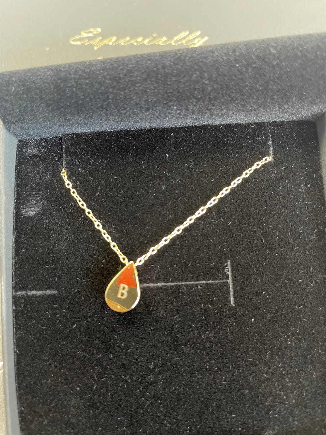 Customer photo review of Teardrop Necklace in Gold