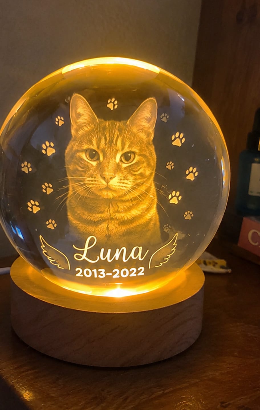 Customer photo review of Dog Angel Wings Memorial - Personalized Crystal Ball LED Night Light - Sympathy Gift For Dog Lovers