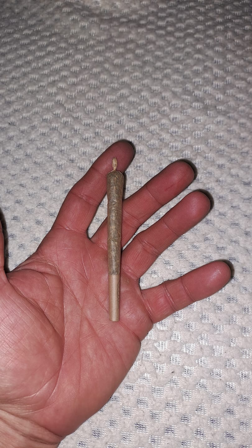 Customer photo review of Pre-Rolled Joint 100% Cannabis