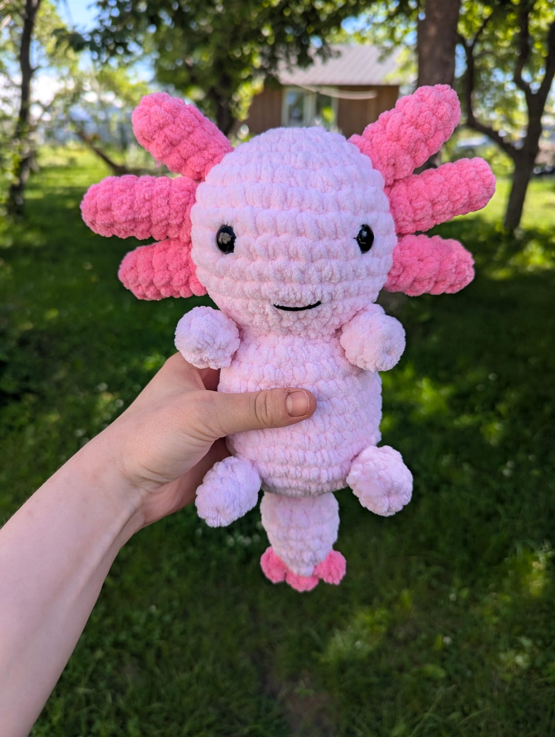 Customer photo review of Alize Velluto