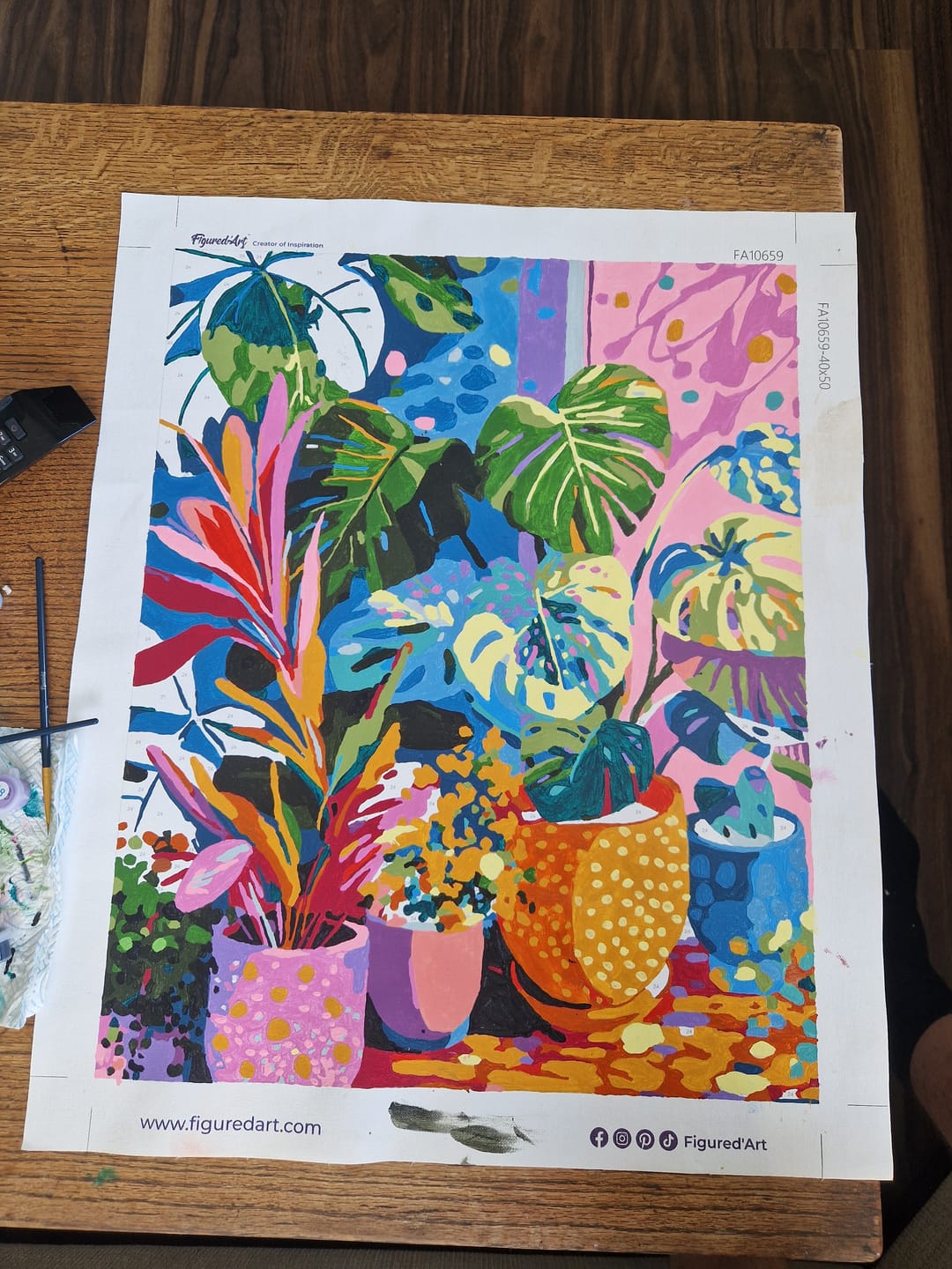 Customer photo review of Leaf Diy Paint By Numbers Kits ZXQ3222