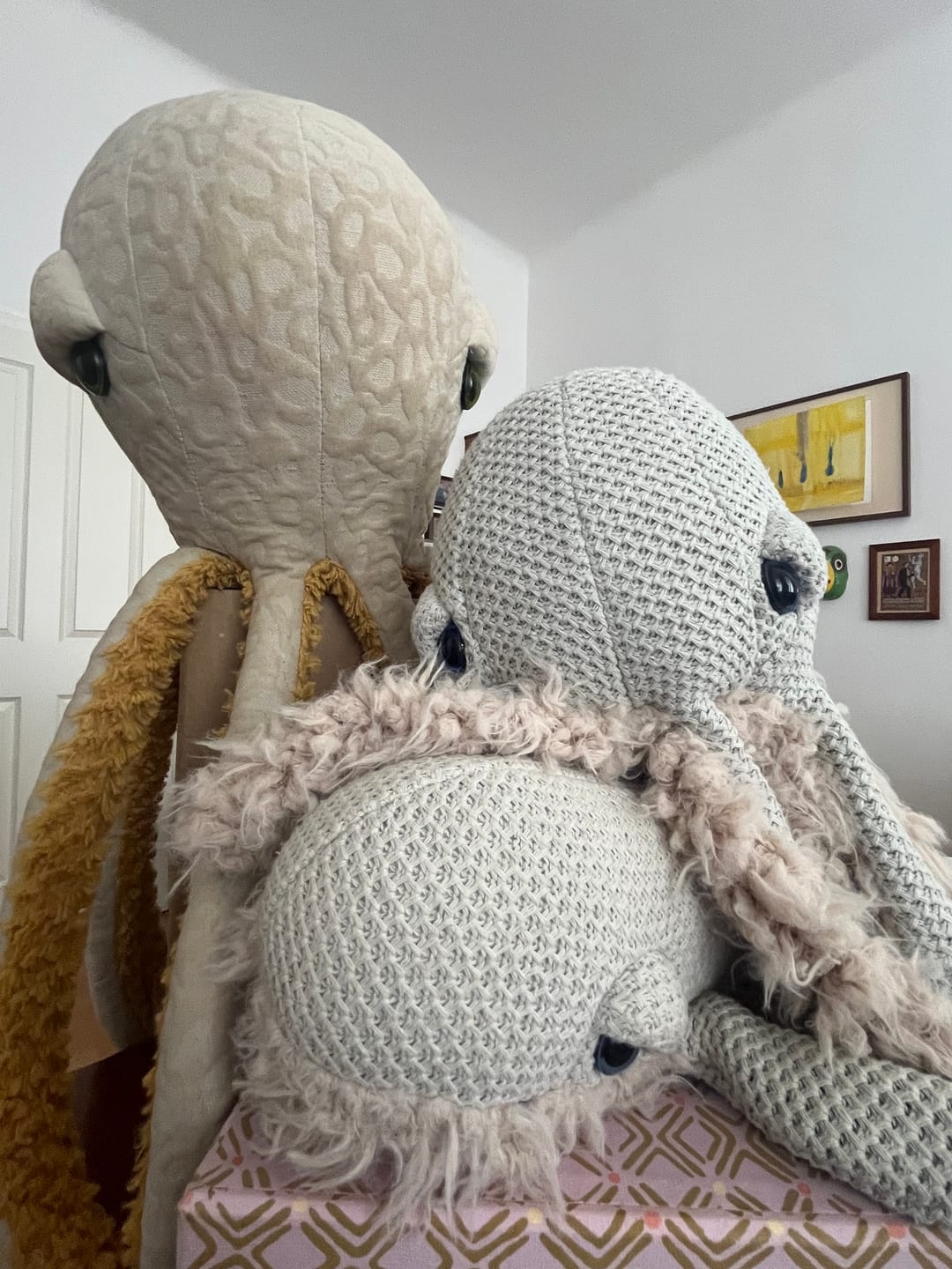 Customer photo review of The Mini Octopus