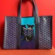 Customer photo review of Parisian Charm Carryall