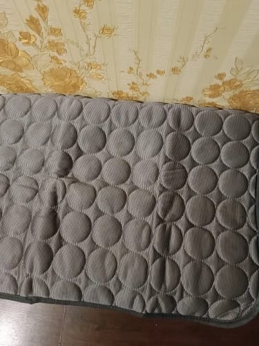 Customer photo review of Tapis Rafraîchissant pour Chat – Offrez-lui un confort immédiat