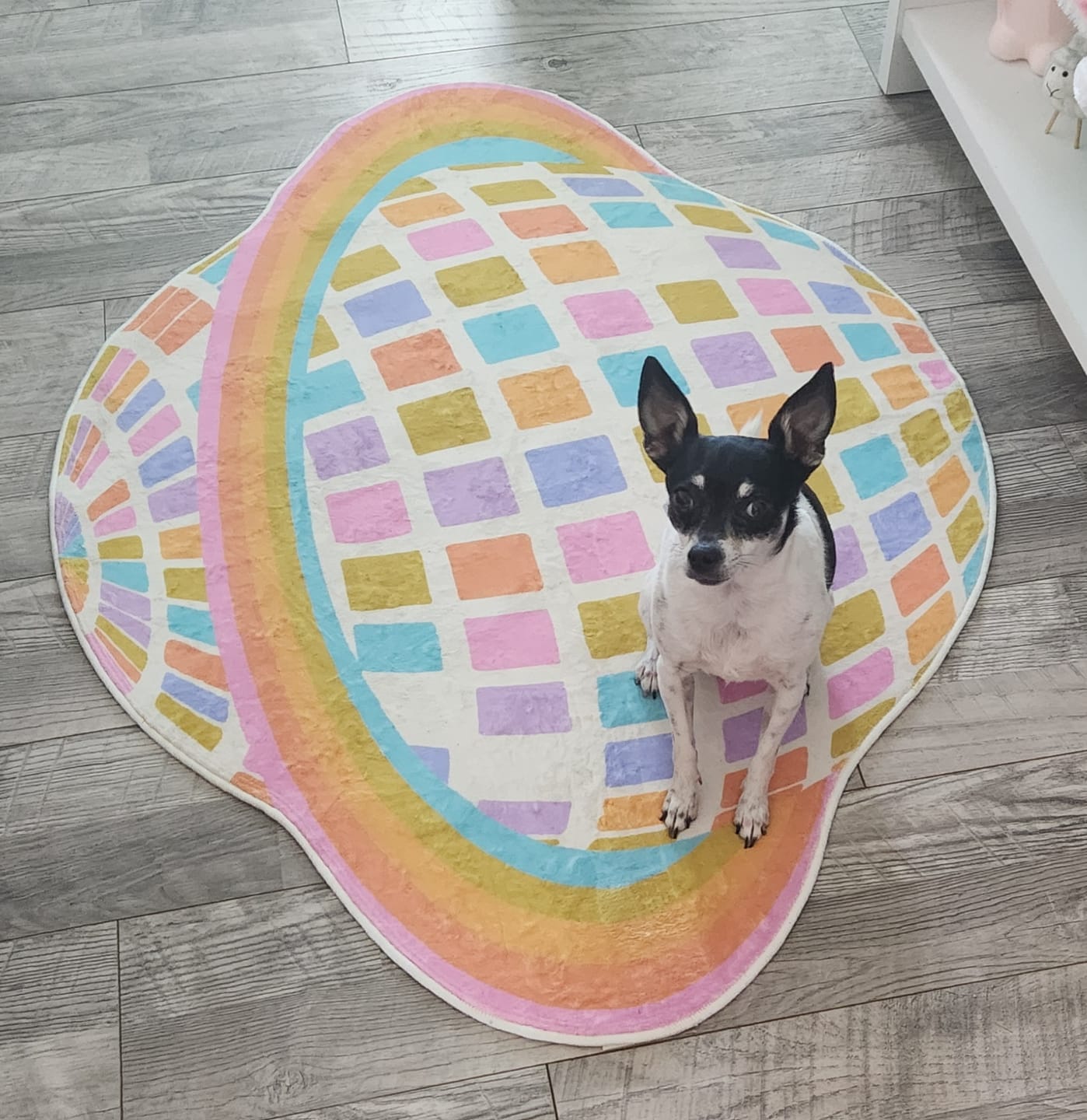 Customer photo review of Disco Planet Checkered Rug by Darra Sargent