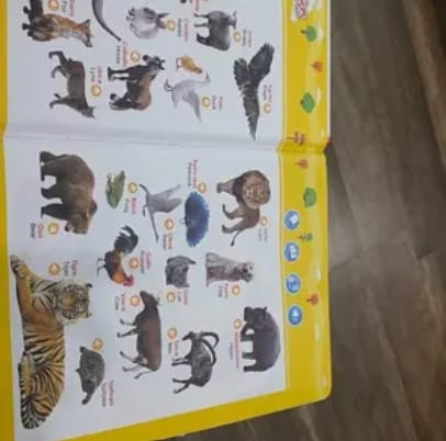 Customer photo review of Libro Educativo con Sonido CREARIO™