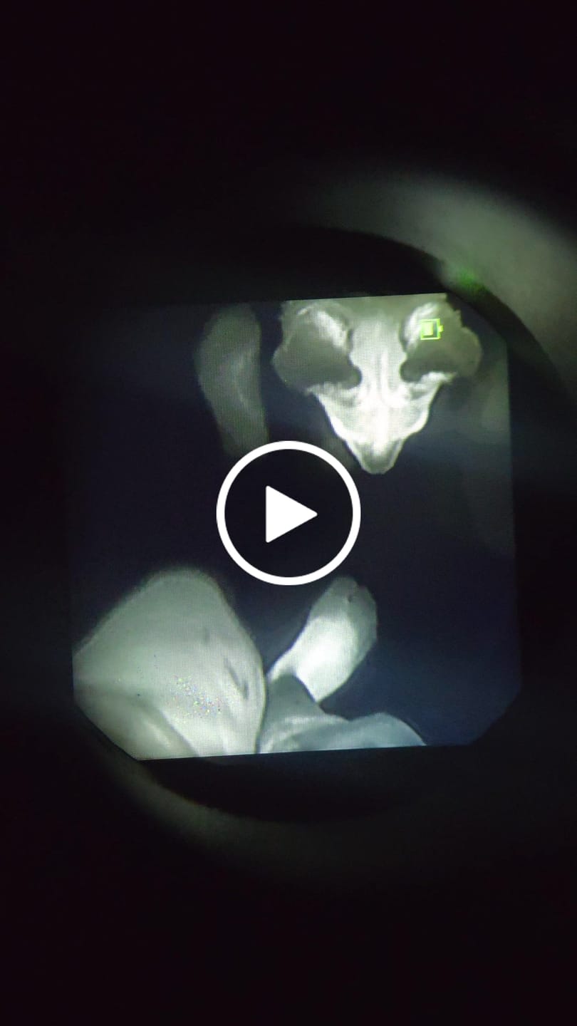 Customer video review of G24 Style NVG Helmet Mount