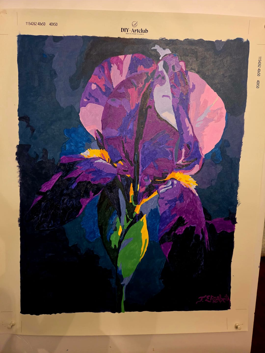 Customer photo review of Velvet Iris | Paint by Number