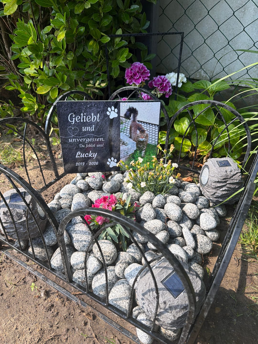 Customer photo review of Hunde Gedenktafel mit Foto & Spruch (UV- & Wetterfest)