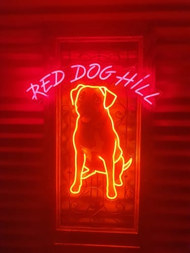 Customer photo review of Custom Neon Sign