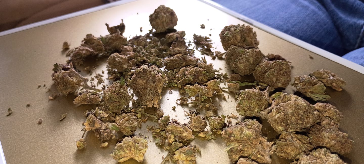 Customer photo review of Super Lemon Haze - 14 Grams - Sativa
