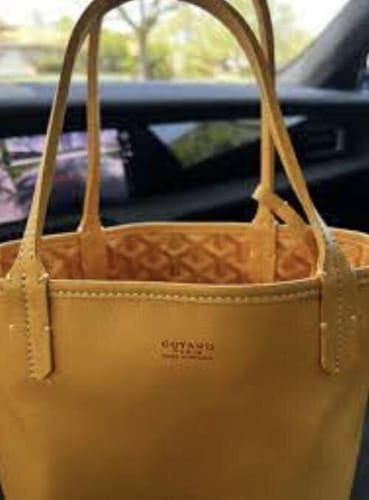 Customer photo review of Veyra Reversible Mini Tote
