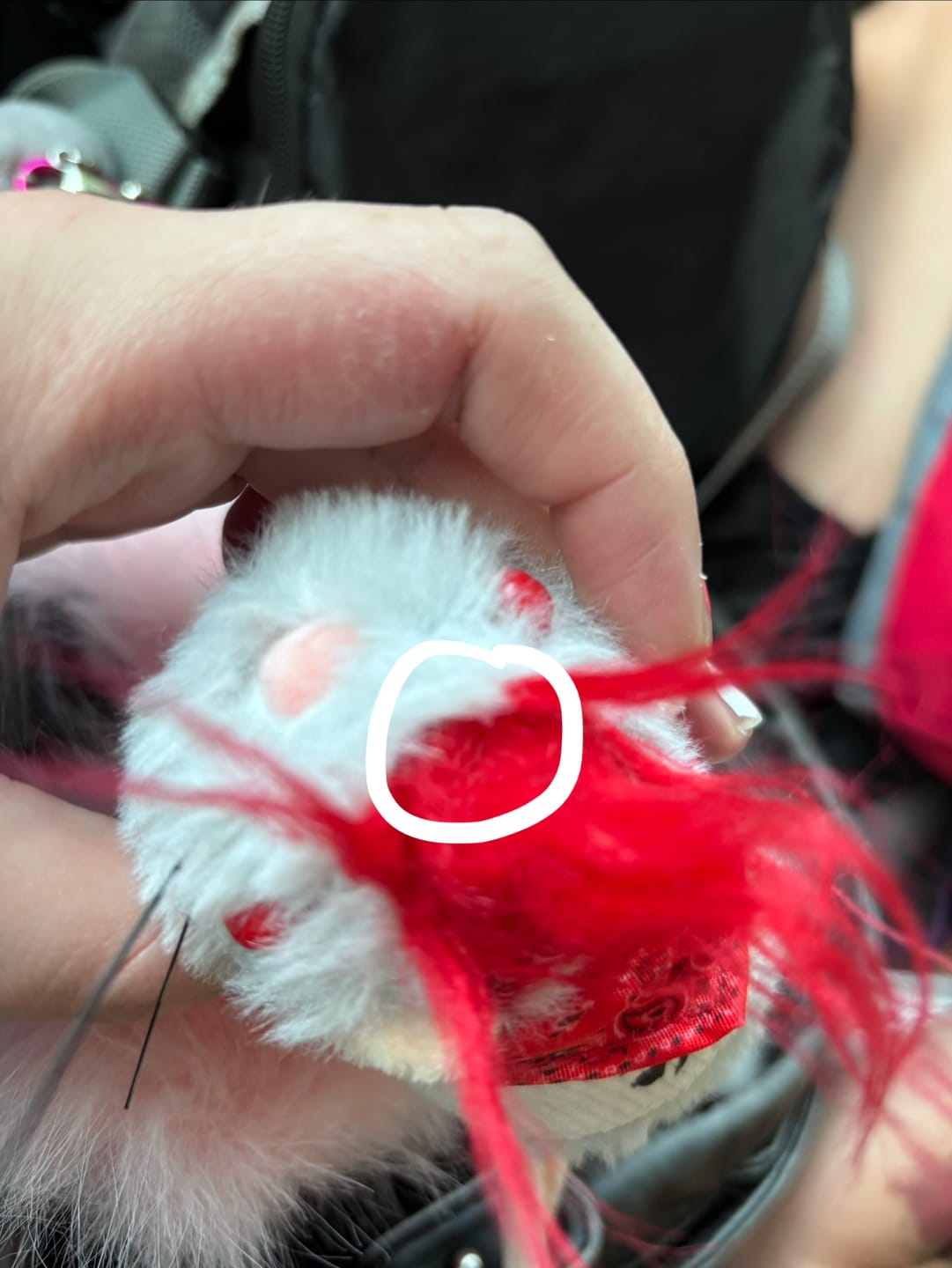 Customer photo review of PUNK RAT PLUSHIES