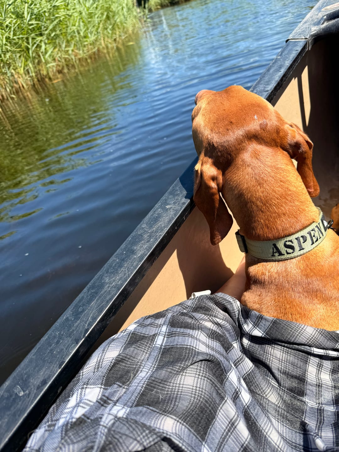 Customer photo review of Extreme Buckle med namn