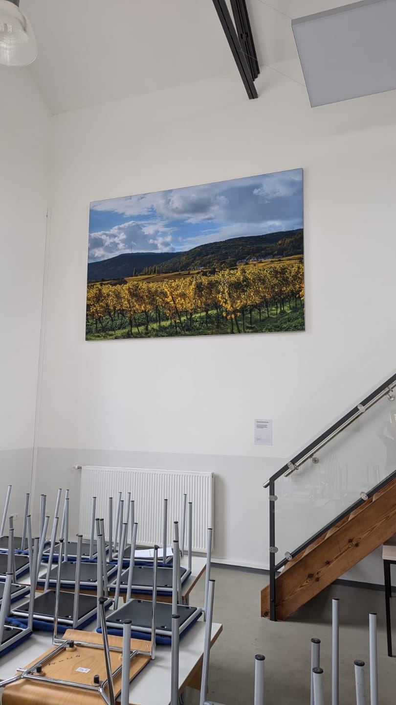 Customer photo review of Akustikbild silberner Rahmen eigenes Motiv vom Kunden
