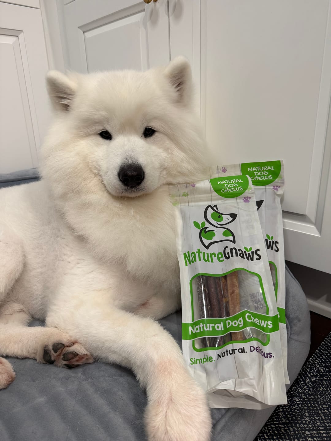 Customer photo review of Large Bully Sticks 11-12" Long-Lasting Dental Dog Chews