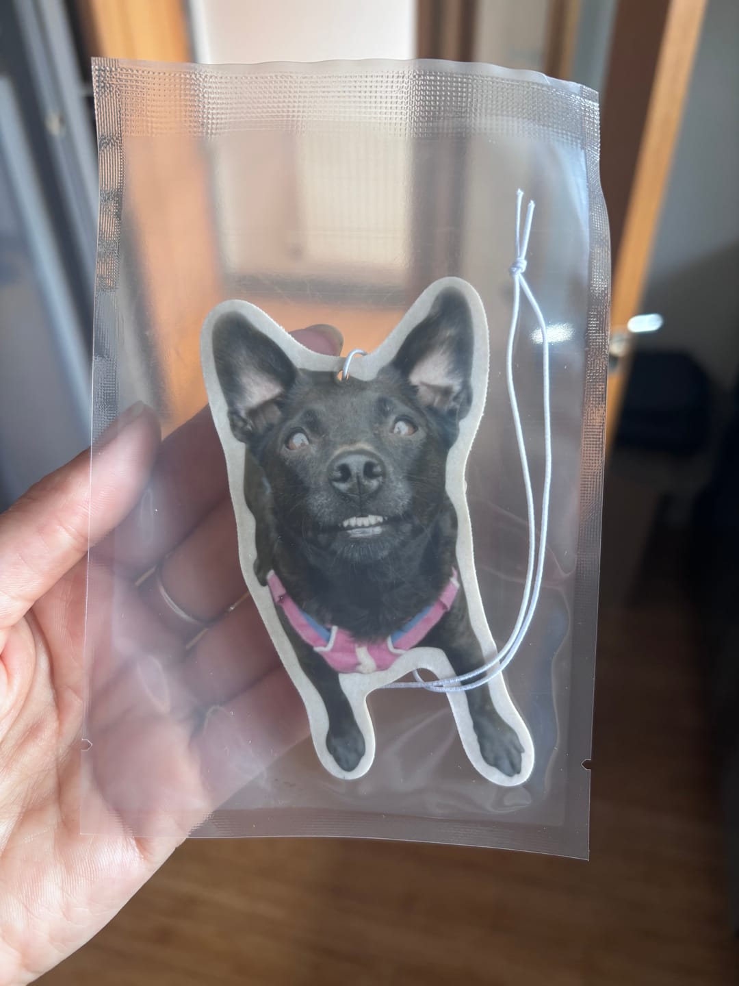 Customer photo review of Personalised Custom Car Air Freshener With Your Photo