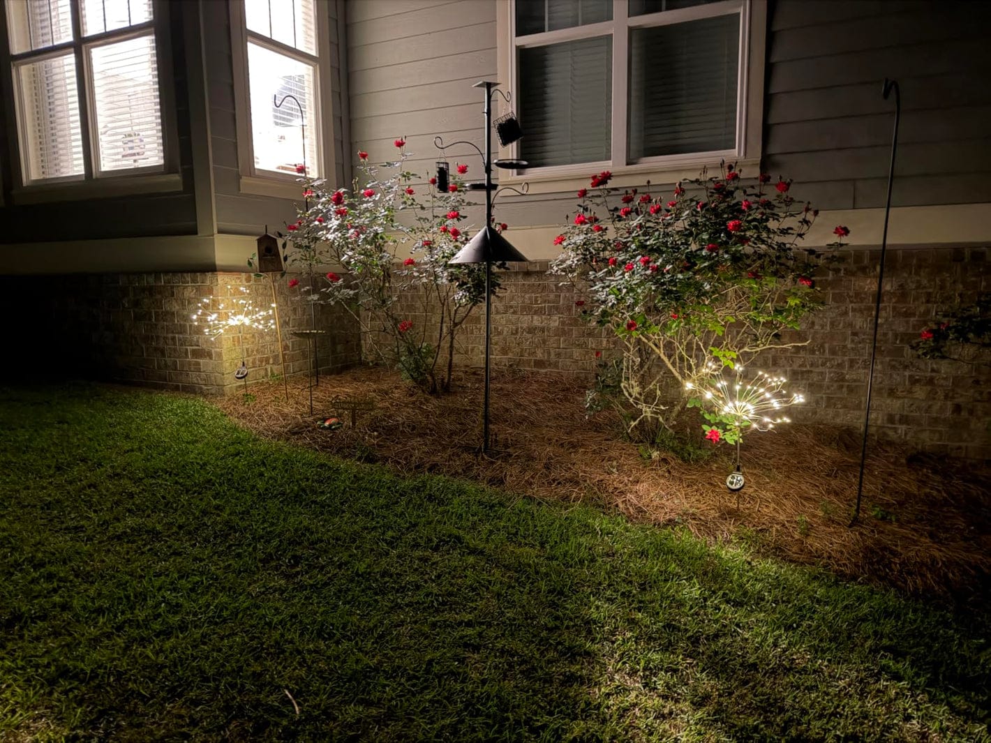 Customer photo review of Lampes Solaires Jardin LED Feu d’Artifice – Éclairage Extérieur Magique